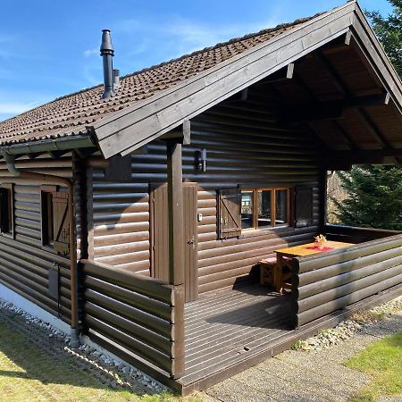 Ferienhaus-Blockhuette Im Fichtelgebirge - Nagler See 2 Km Nagel 外观 照片