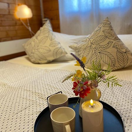 Ferienhaus-Blockhuette Im Fichtelgebirge - Nagler See 2 Km Nagel 外观 照片