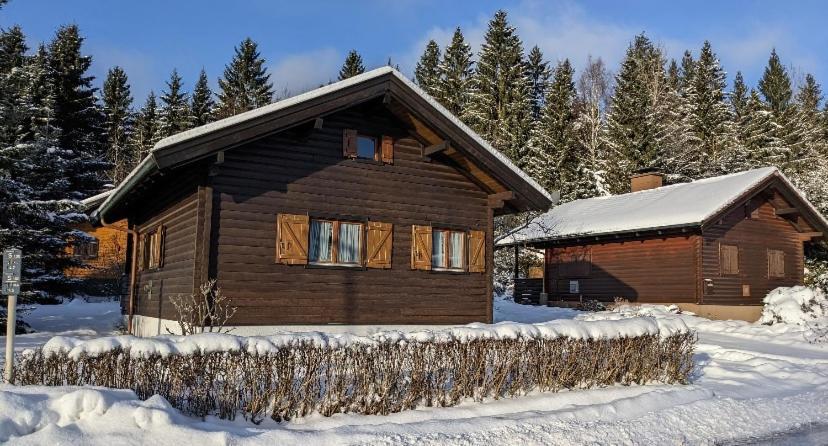Ferienhaus-Blockhuette Im Fichtelgebirge - Nagler See 2 Km Nagel 外观 照片