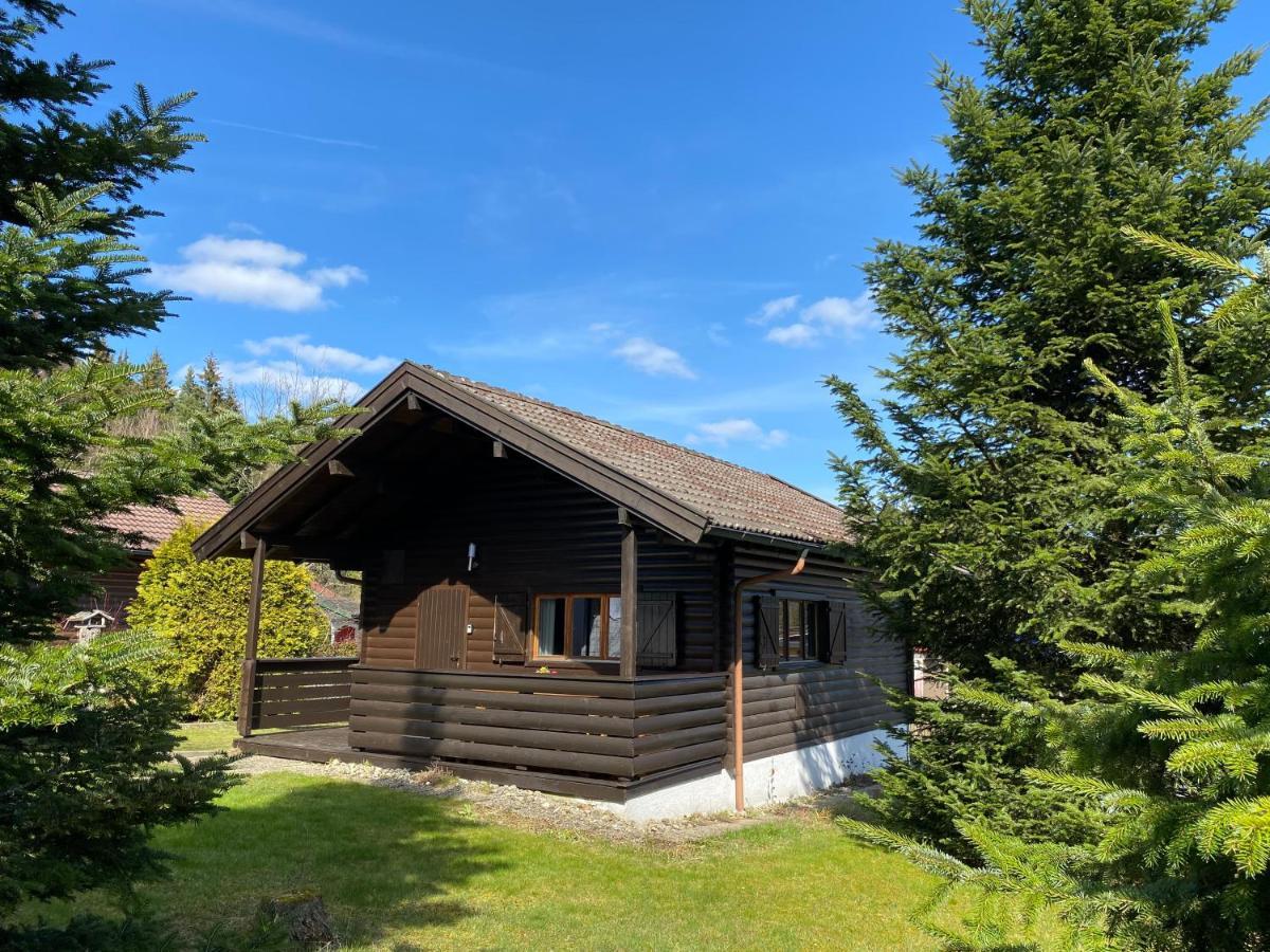 Ferienhaus-Blockhuette Im Fichtelgebirge - Nagler See 2 Km Nagel 外观 照片